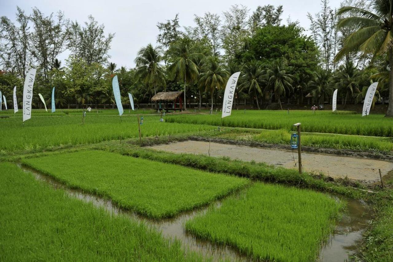 The Gemalai Village Pantai Cenang  Exterior photo