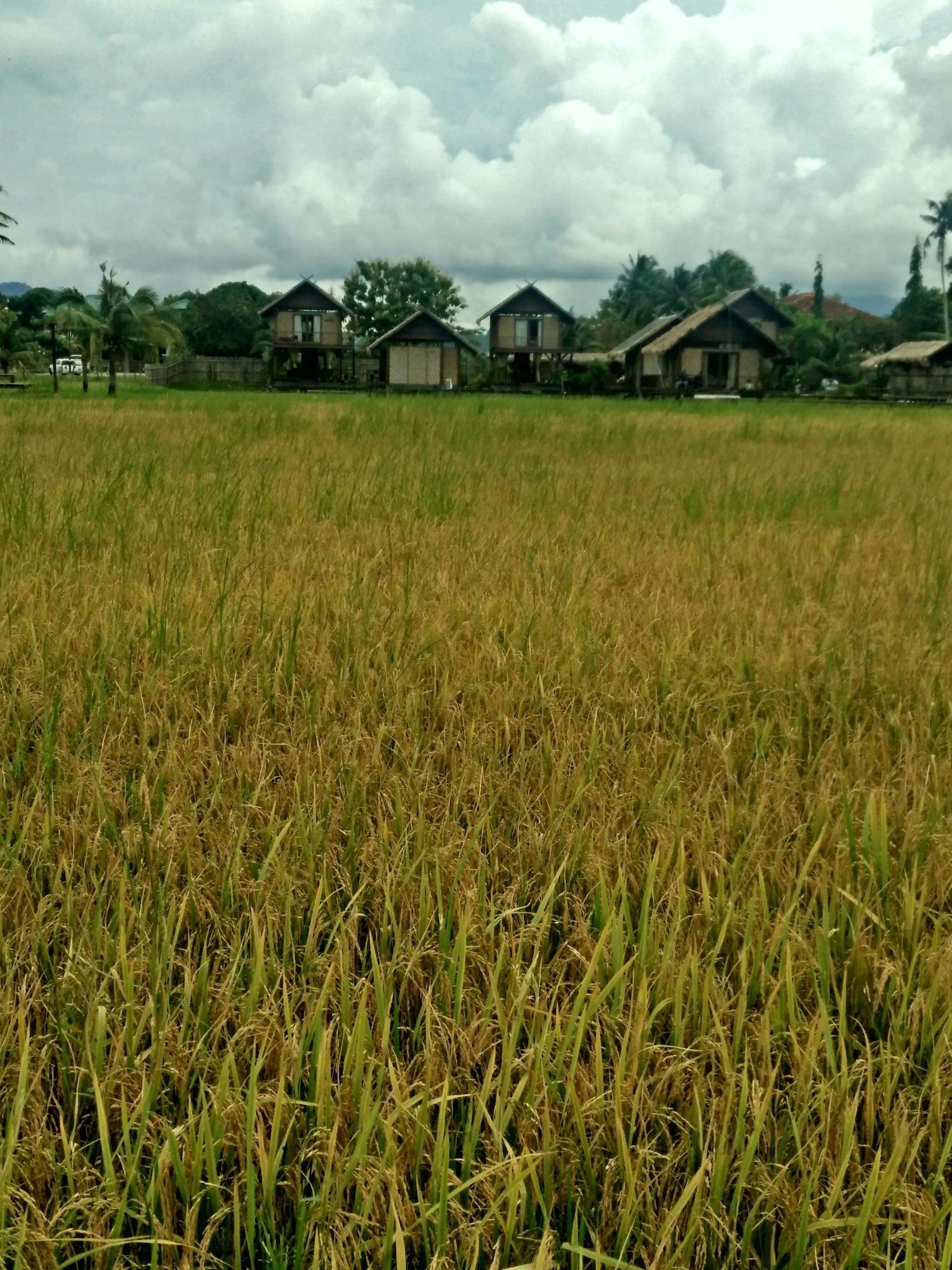 The Gemalai Village Pantai Cenang  Exterior photo