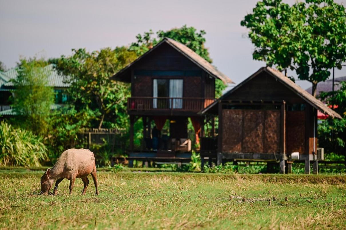 The Gemalai Village Pantai Cenang  Exterior photo