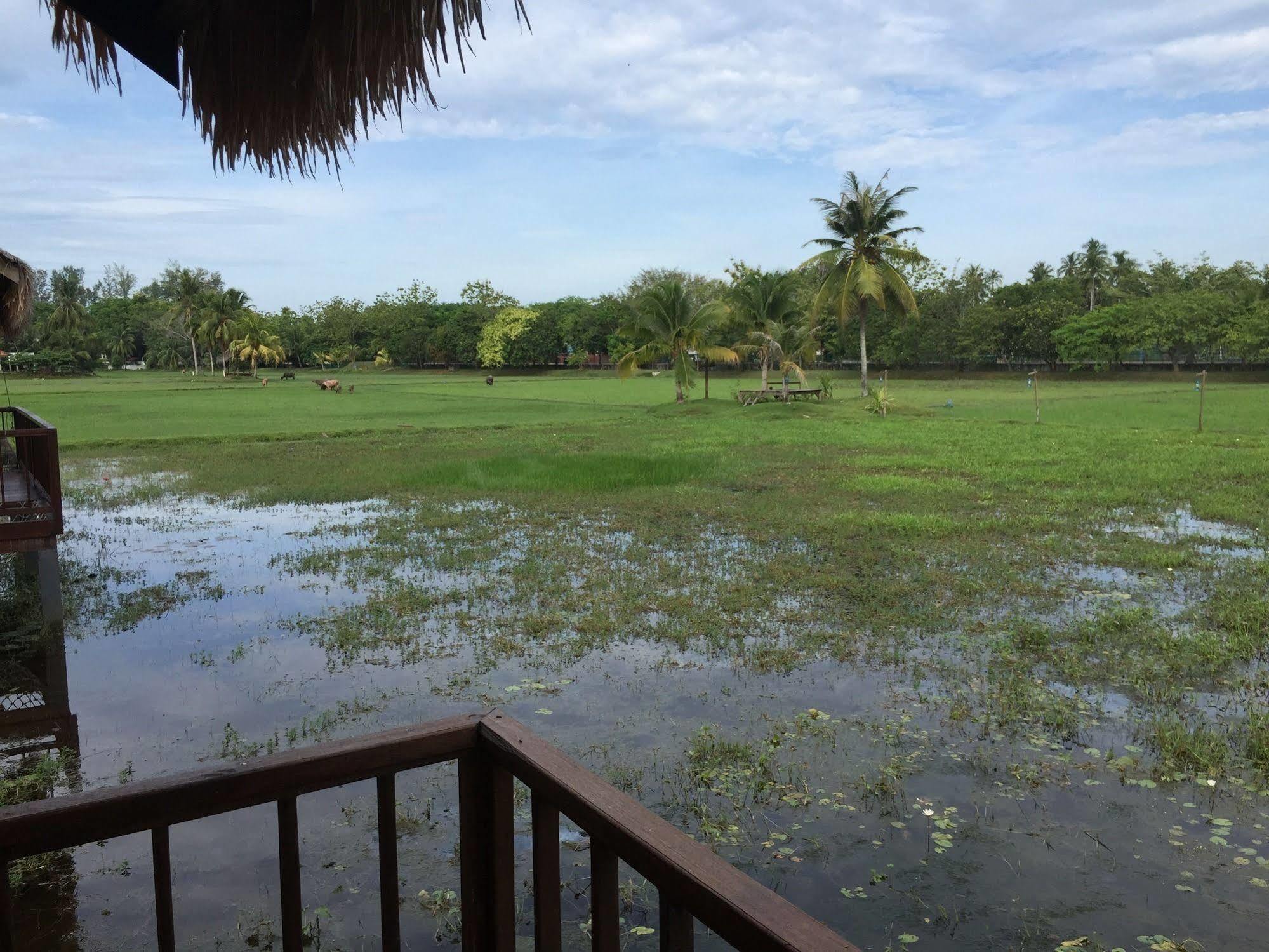 The Gemalai Village Pantai Cenang  Exterior photo
